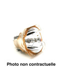 Ampoule EPSON EB-TW420 de Vidéoprojecteur - Lampe d'origine