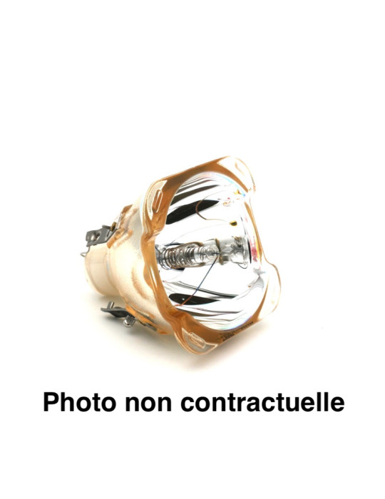 Ampoule pour Vidéoprojecteur NEC LT380 - Lampe d'origine