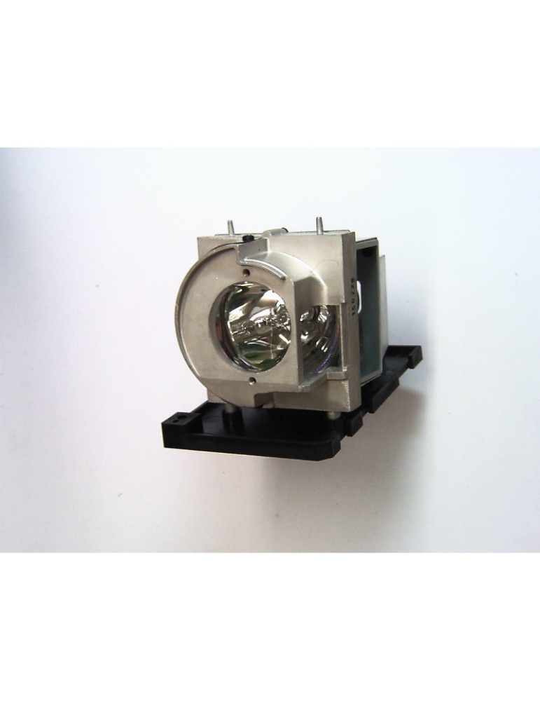 Lampe OPTOMA pour Vidéo Projecteur W319USTir - Ampoule d'origine