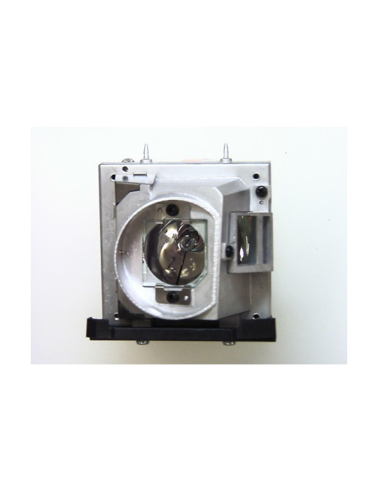 Lampe OPTOMA pour Vidéo Projecteur TW766W - Ampoule Éco