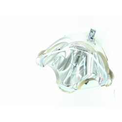 Lampe INFOCUS pour Vidéo Projecteur LP790HB - Ampoule d'origine