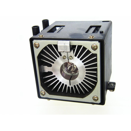 Lampe pour Vidéoprojecteur JVC DLA-G11 - Ampoule d'origine Lampe pour Vidéoprojecteur JVC DLA-G11 - Ampoule d'origine