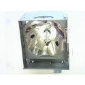 Lampe NEC pour Vidéoprojecteur UM301W Diamond