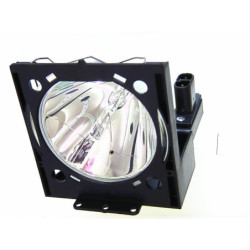 Lampe NEC pour Vidéoprojecteur UM301Wi Diamond