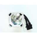 Lampe PANASONIC pour Vidéoprojecteur PTTW340 Diamond
