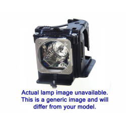 Lampe PANASONIC pour Vidéoprojecteur PTAE8000 Diamond