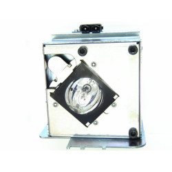 Ampoule seule pour vidéoprojecteur Proxima UltraLight LS2