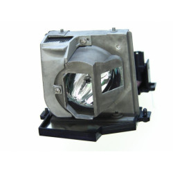 Ampoule seule pour vidéoprojecteur ProjectionDesign EVO 20 SX+