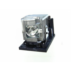 Ampoule seule pour vidéoprojecteur 3D Perception SX22