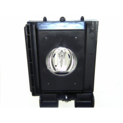 Ampoule seule pour vidéoprojecteur Samsung HL-P4663WX/XA (BP96-00826A)