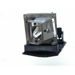 Ampoule seule pour vidéoprojecteur Samsung SP50L7HX