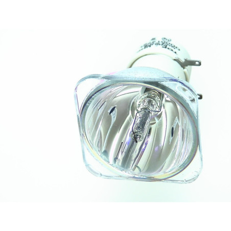 Lampe pour Vidéoprojecteur SAMSUNG SP-D300 - Ampoule d'origine