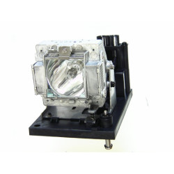 Lampe d'origine pour vidéoprojecteur ProjectionDesign Action 3+