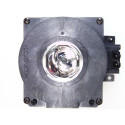 Lampe pour Vidéoprojecteur NEC PA500X - Ampoule d'origine