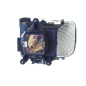 Lampe PROJECTIONDESIGN EVO2 de Vidéoprojecteur - Ampoule d'origine