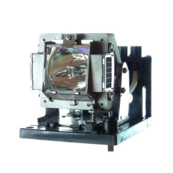 Pack de 2 lampes d'origines pour vidéoprojecteur Panasonic PT-DX800S/LS