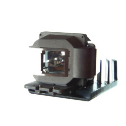 Pack de 2 lampes d'origines pour vidéoprojecteur Panasonic PT-D5000U (TWIN PACK)