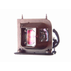 Pack de 2 lampes d'origines pour vidéoprojecteur Panasonic PT-D6000U (TWIN PACK)