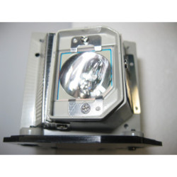 Pack de 2 lampes d'origines pour vidéoprojecteur Panasonic PT-DW740UK (TWIN PACK)