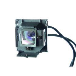 Pack de 2 lampes Whitebox pour vidéoprojecteur Panasonic PT-D6000ELS (TWIN PACK)