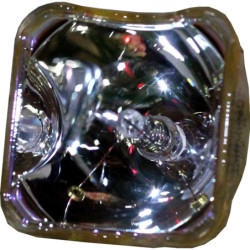 Pack de 2 lampes Whitebox pour vidéoprojecteur Panasonic PT-DW730
