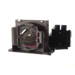 Pack de 2 lampes Whitebox pour vidéoprojecteur Panasonic PT-DX810