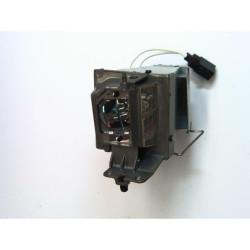 Ampoule seule pour vidéoprojecteur Christie CS P70 RPMS