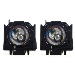 Pack de 2 lampes PANASONIC pour Vidéo Projecteur PT-DW730ULK - Ampoule d'origine