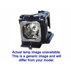 Lampe d'origine pour vidéoprojecteur NEC WT610E