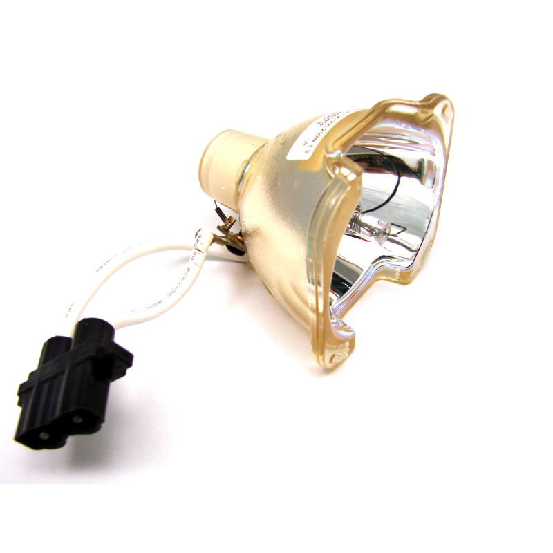 Ampoule seule pour vidéoprojecteur Premier PD-S618