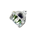 Ampoule SAMSUNG SP46L3HXR/XAX de Vidéoprojecteur - Lampe d'origine