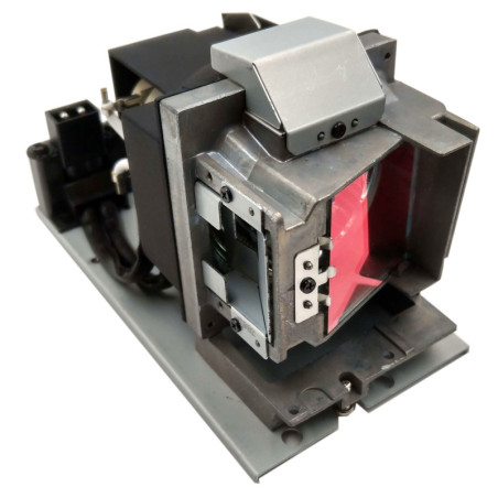Lampe OPTOMA pour Vidéo Projecteur EH415 - Ampoule d'origine