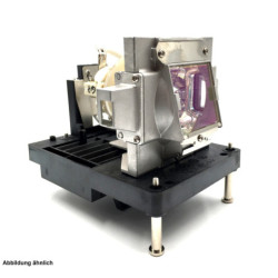 Lampe EIKI EIP-XHS100 de Vidéoprojecteur - Ampoule d'origine