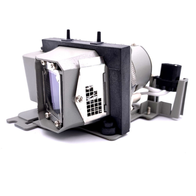 Lampe INFOCUS WORK BIG IN1100 de Vidéoprojecteur - Ampoule d'origine