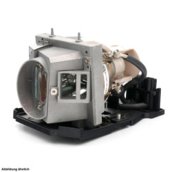 Lampe OPTOMA pour Vidéo Projecteur EX766 - Ampoule d'origine