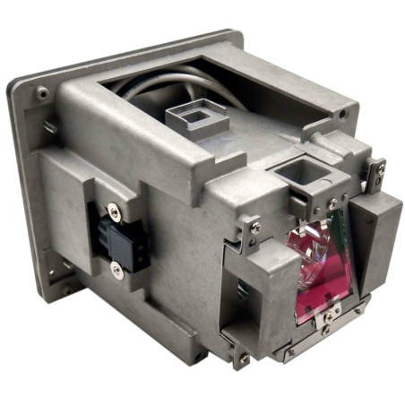 Lampe pour Vidéoprojecteur OPTOMA EW865 - Ampoule d'origine