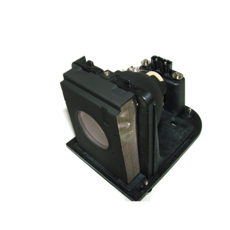 Lampe OPTOMA pour Vidéo Projecteur H76 ThemeScene - Ampoule d'origine