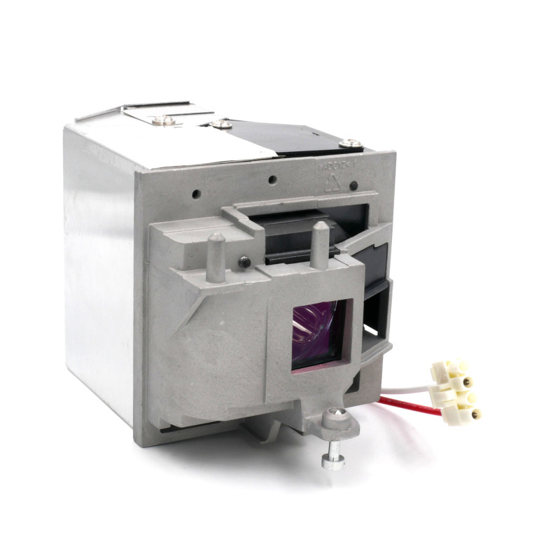 Lampe INFOCUS Work Big IN26 de Vidéoprojecteur - Ampoule d'origine