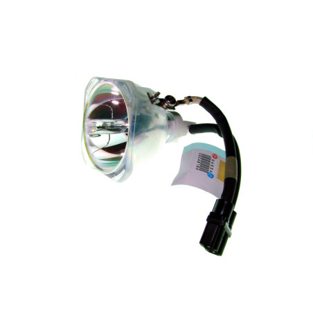 Ampoule pour Vidéoprojecteur OPTOMA EZPRO 732 - Lampe d'origine