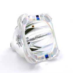 Ampoule BARCO pour Vidéo Projecteur OVERVIEW D2 PU SXGA - Lampe d'origine