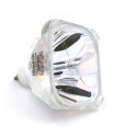 Ampoule ANDERS+KERN AstroBeam 530 de Vidéoprojecteur - Lampe d\'origine
