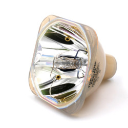 Ampoule pour Vidéoprojecteur NEC NP3151 - Lampe d'origine