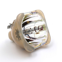 Ampoule OPTOMA TX783 de Vidéoprojecteur - Lampe d'origine