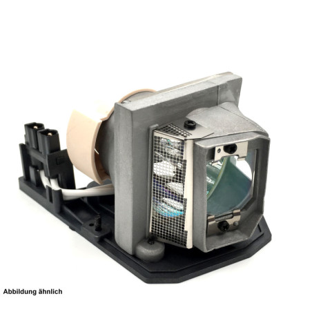 Lampe ACER H110P de Vidéoprojecteur - Ampoule d'origine