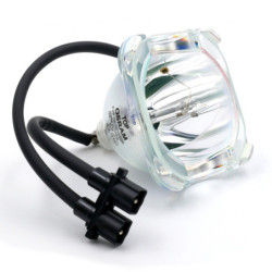 Ampoule SAMSUNG pour Vidéo Projecteur HL-R5656W (BP96-01073A) - Lampe d'origine