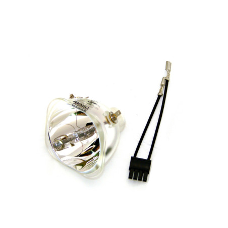 Ampoule VIDEOSEVEN PD725X de Vidéoprojecteur - Lampe d'origine