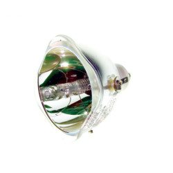Ampoule NOBO X16P de Vidéoprojecteur - Lampe d'origine