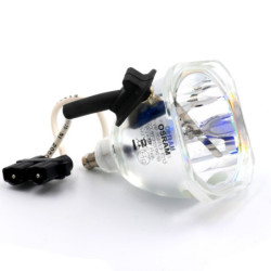 Ampoule pour Vidéoprojecteur ACER PL110 - Lampe d'origine
