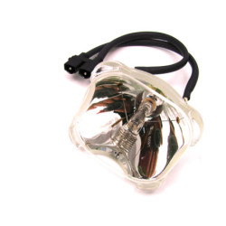Ampoule pour Vidéoprojecteur EIKI LC-120PAL - Lampe d'origine