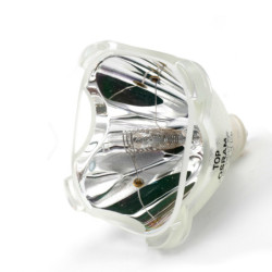 Ampoule EVEREST pour Vidéo Projecteur EX-31028 - Lampe d'origine
